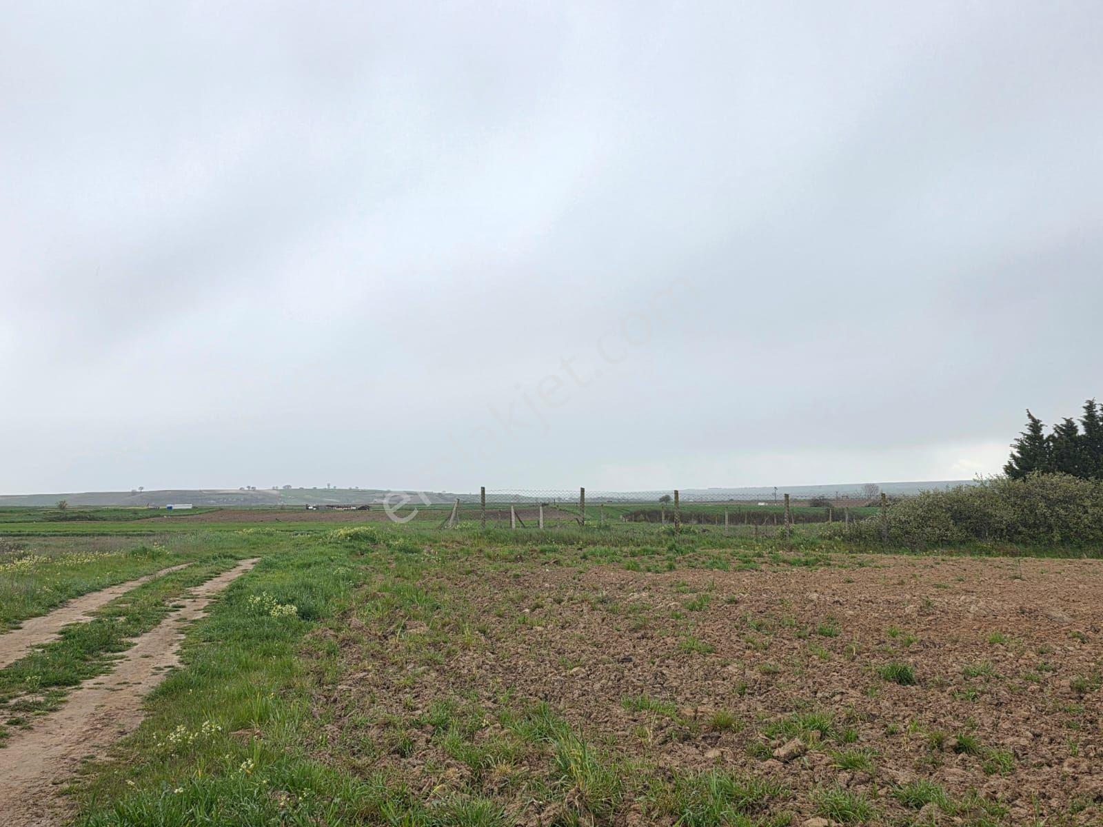Var Gayrimenkul'den Kapaklı Karlı'da 3450m2 Tek Tapu Kupon Tarla - Görsel 28