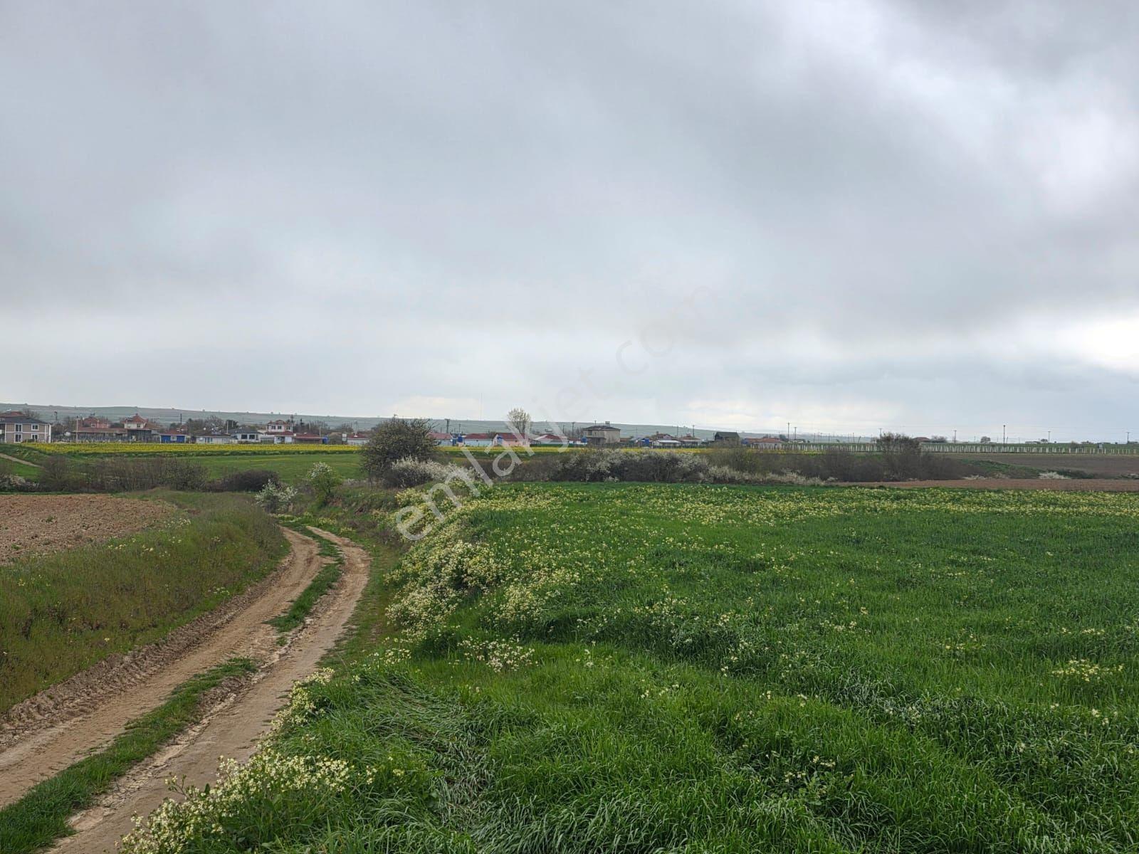 Var Gayrimenkul'den Kapaklı Karlı'da 3450m2 Tek Tapu Kupon Tarla - Görsel 5