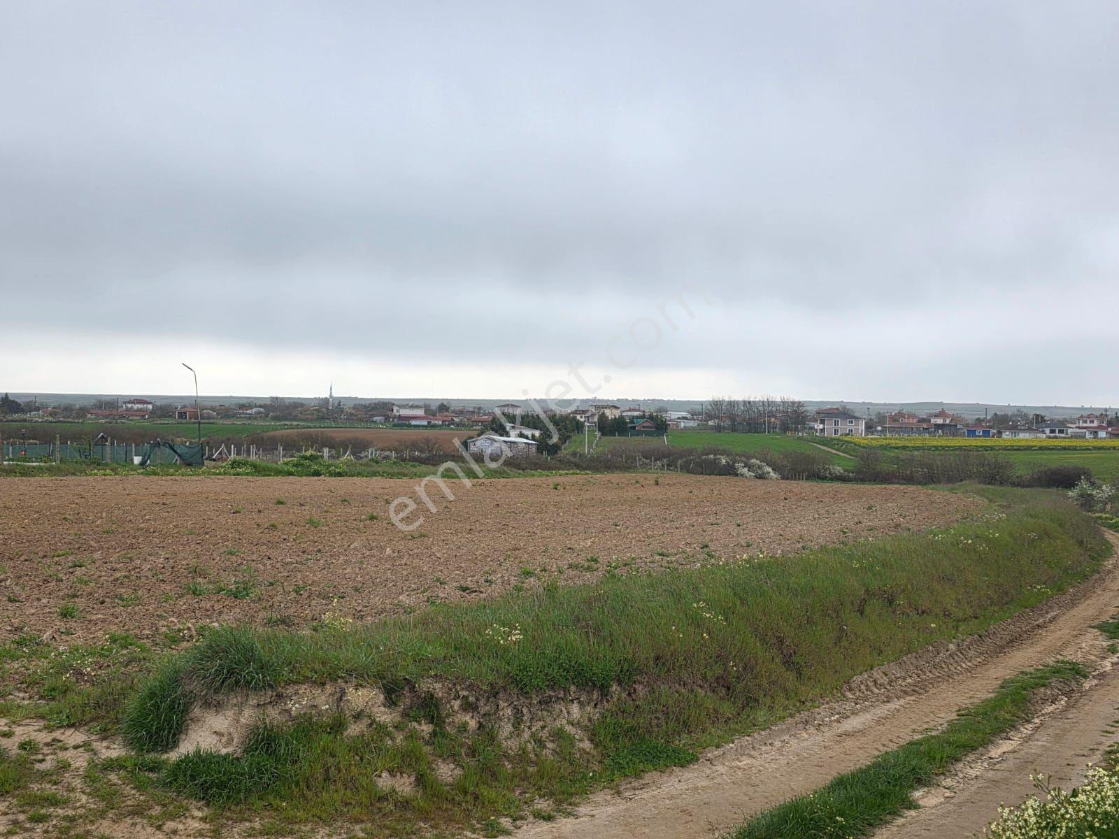Var Gayrimenkul'den Kapaklı Karlı'da 3450m2 Tek Tapu Kupon Tarla - Görsel 35