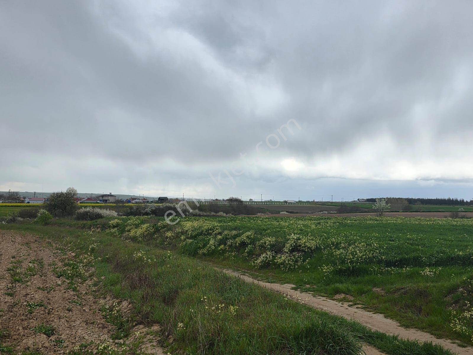 Var Gayrimenkul'den Kapaklı Karlı'da 3450m2 Tek Tapu Kupon Tarla - Görsel 6
