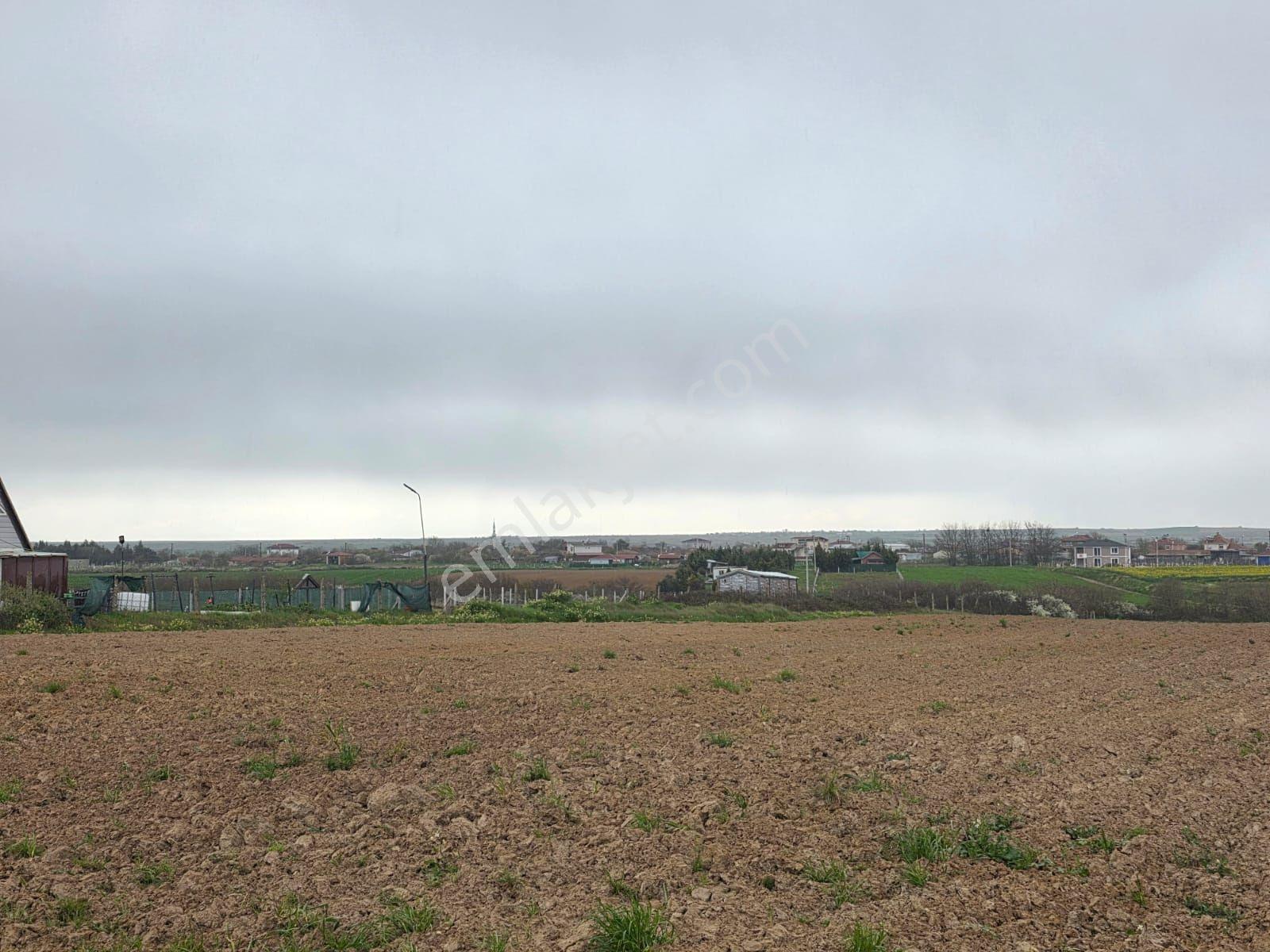 Var Gayrimenkul'den Kapaklı Karlı'da 3450m2 Tek Tapu Kupon Tarla - Görsel 4
