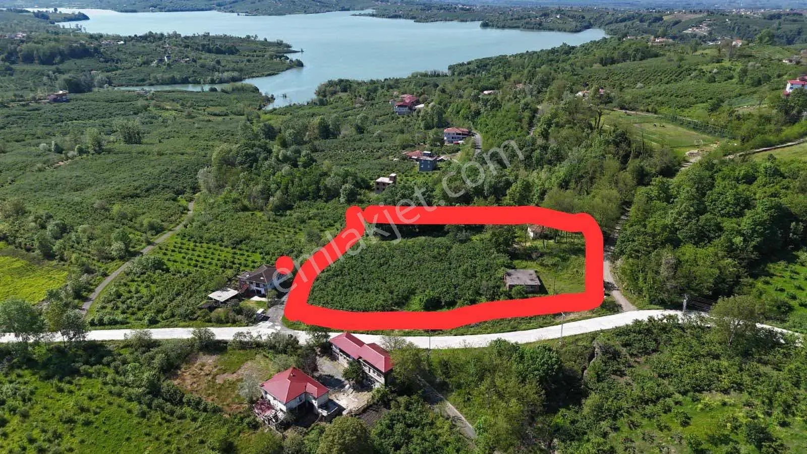 Lerox Uçar Caner'den Çarşamba Gökçeçakmakta 6.369m2 Fındıklık - Görsel 4