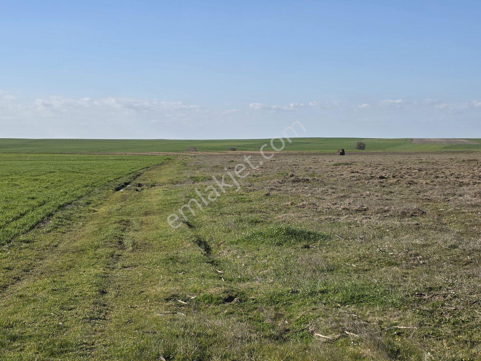 Var Gayrimenkulden Ergene Bakırcada 4050m2 Tek Tapu Tarla Yol - Görsel 2