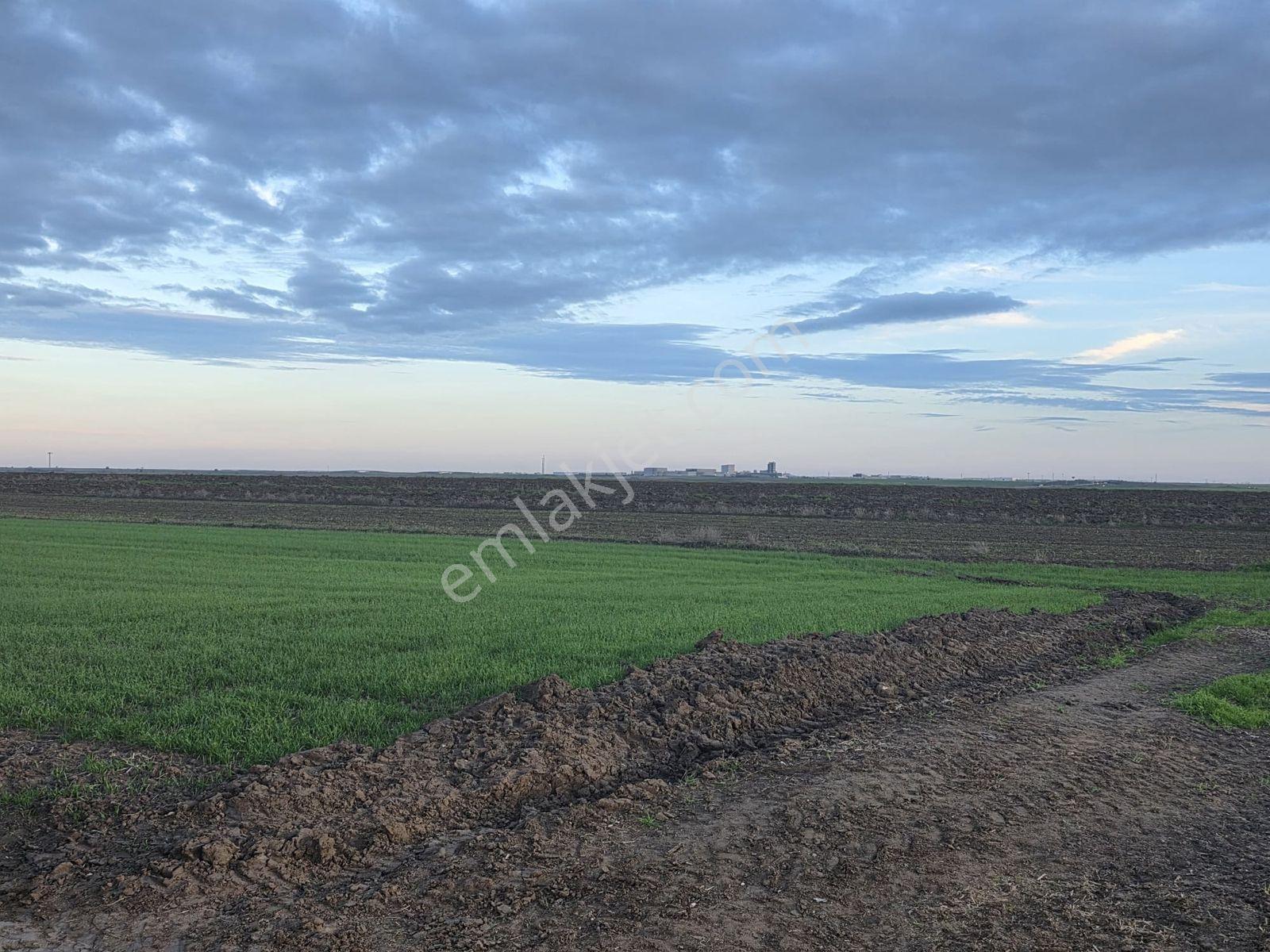 Var Gayrimenkulden Ergene Bakırcada 4050m2 Tek Tapu Tarla Yol - Görsel 3