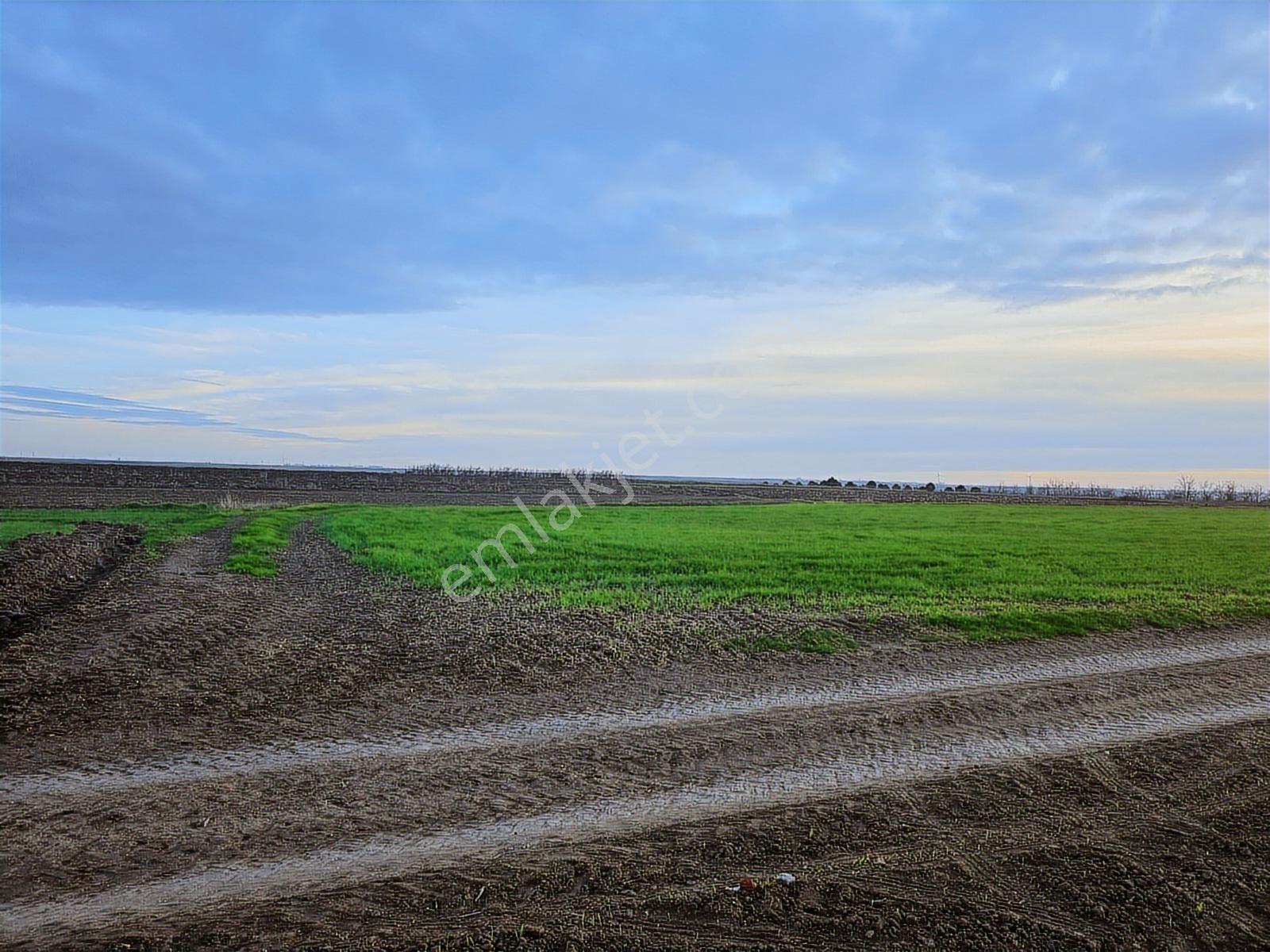 Var Gayrimenkulden Ergene Bakırcada 4050m2 Tek Tapu Tarla Yol - Görsel 14