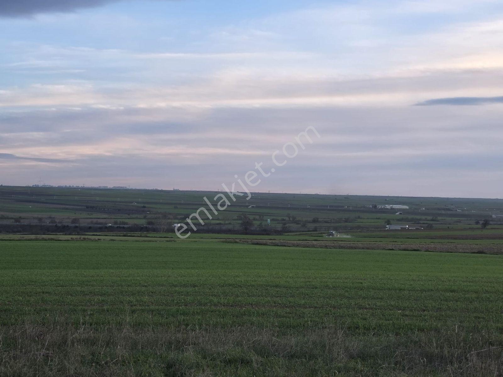 Var Gayrimenkulden Ergene Bakırcada 4050m2 Tek Tapu Tarla Yol - Görsel 17