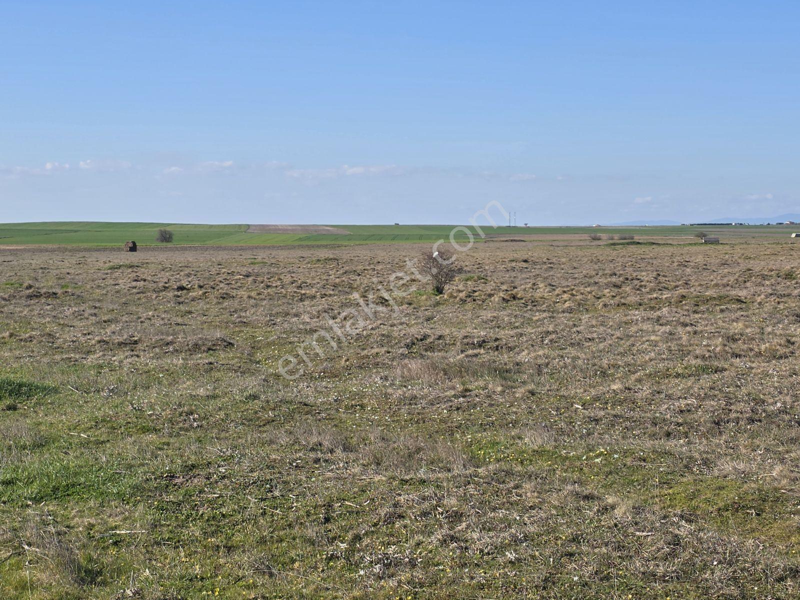 Var Gayrimenkulden Ergene Bakırcada 4050m2 Tek Tapu Tarla Yol - Görsel 19