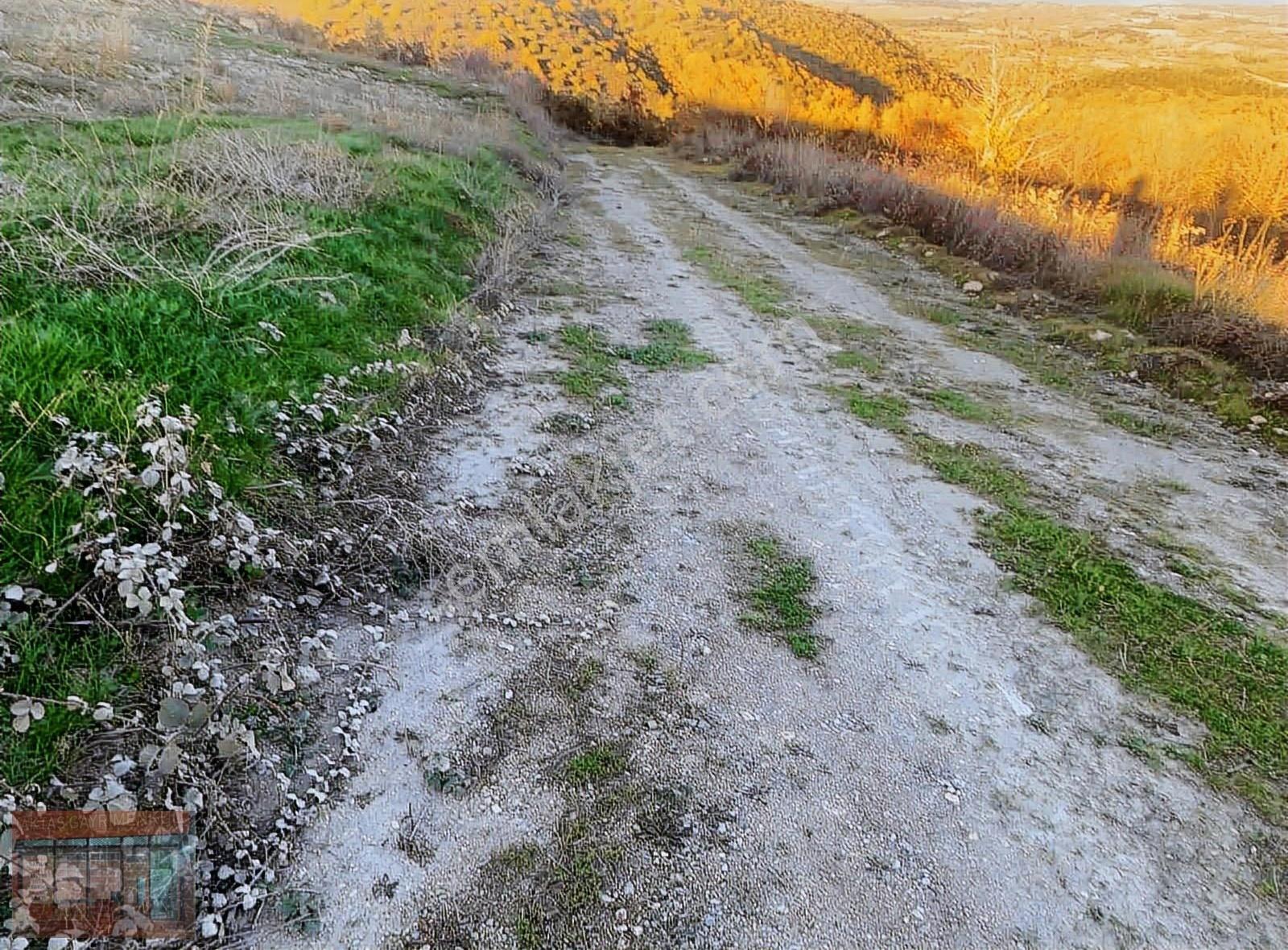 Yenişehir Mahmudiye 3 Tapu Yan Yana Satılık Tarla - Görsel 12