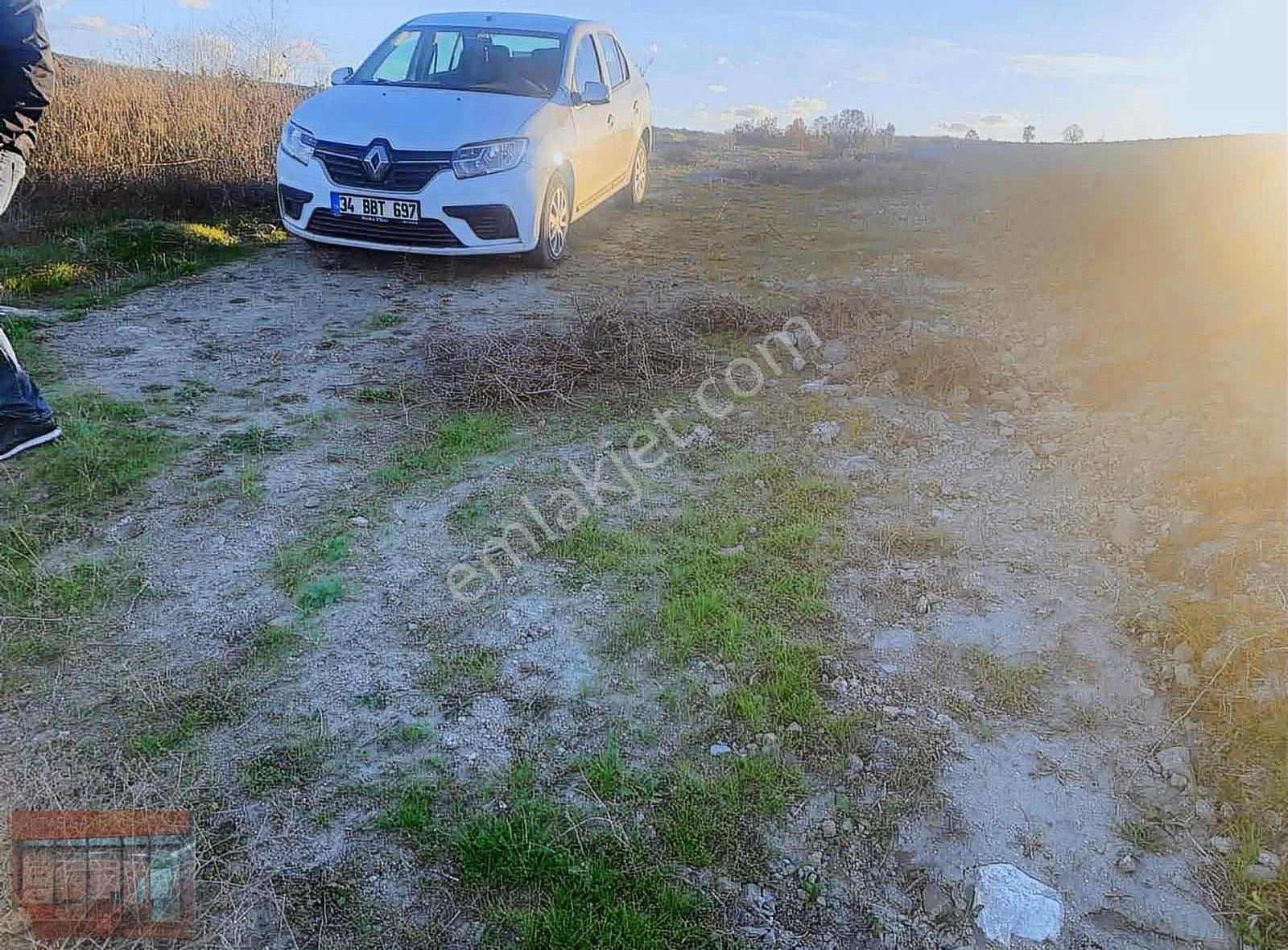 Yenişehir Mahmudiye 3 Tapu Yan Yana Satılık Tarla - Görsel 4