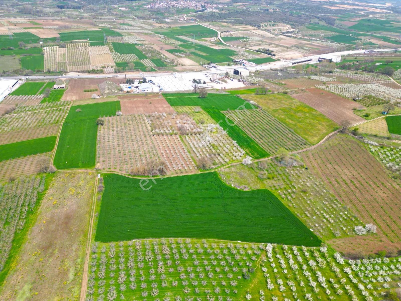 İnegöl Akıncılar'da İmara 300 M Mesafe'de Satılık Fırsat Bahçe - Görsel 9
