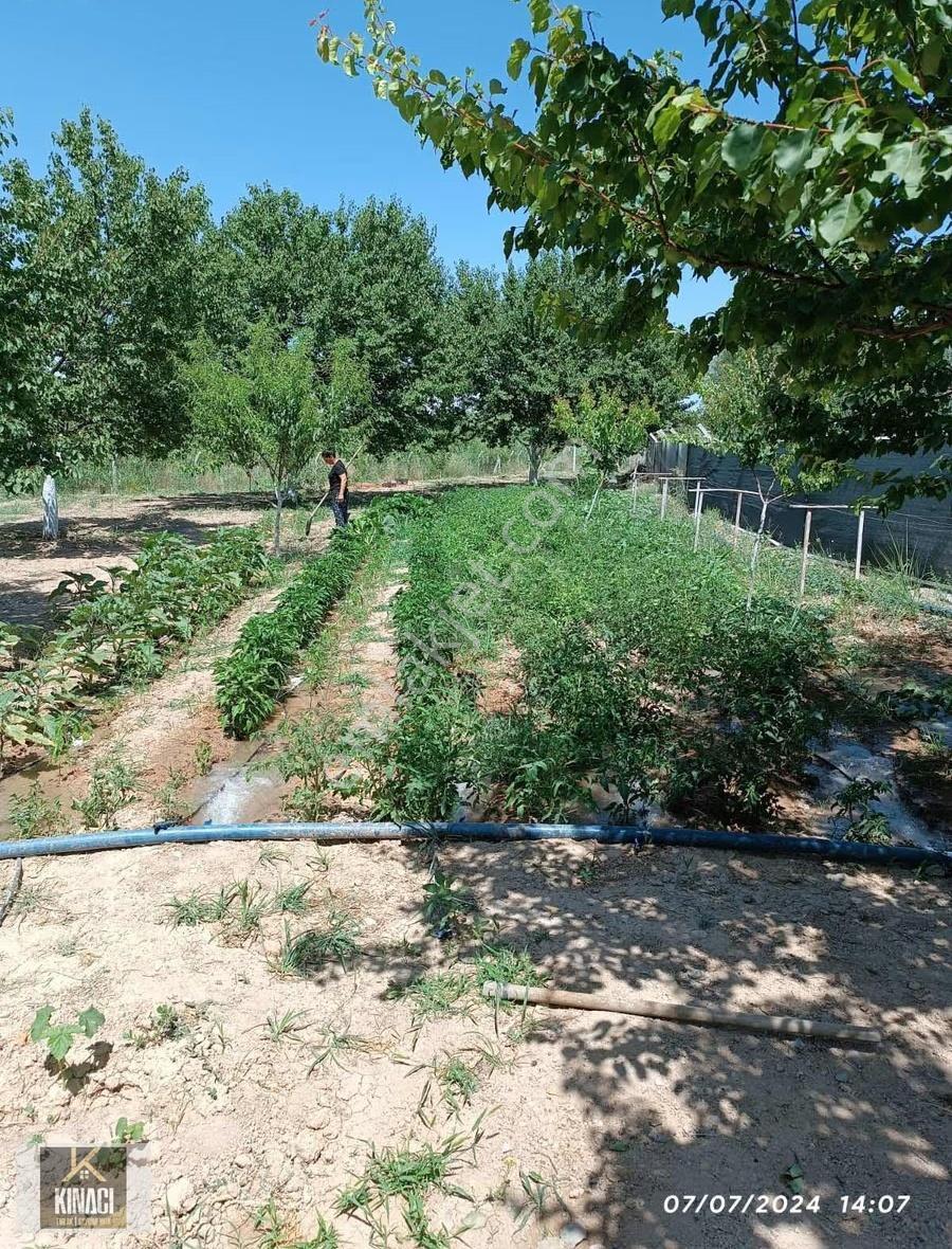 Tugay Kınacı'dan Battalgazi Toygar Da Satılık 1.740 M2 Bahçe - Görsel 26