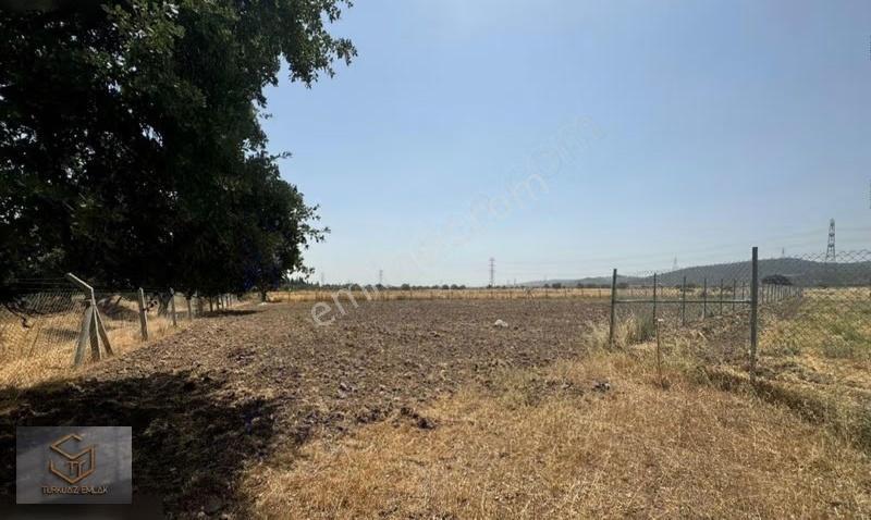 Aliağa Helvacı'da Satılık 2500 M2 Tek Tapu Tarla