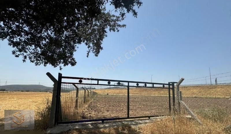Aliağa Helvacı'da Satılık 2500 M2 Tek Tapu Tarla - Görsel 11
