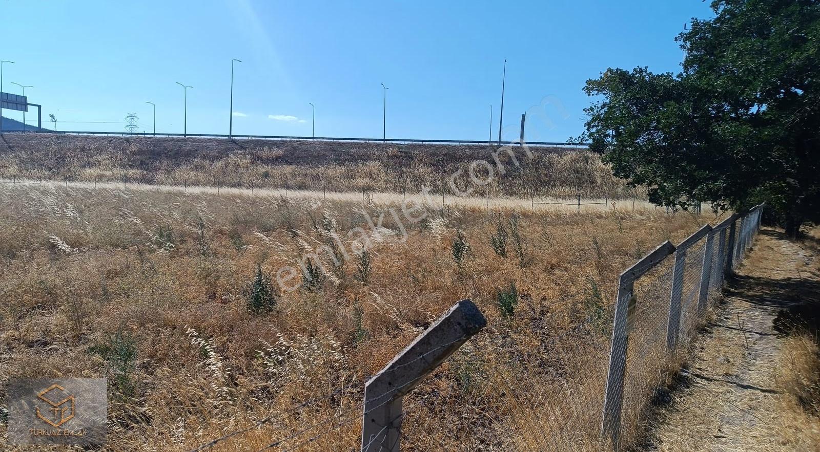 Aliağa Helvacı'da Satılık 2500 M2 Tek Tapu Tarla - Görsel 9