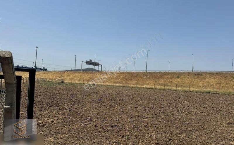 Aliağa Helvacı'da Satılık 2500 M2 Tek Tapu Tarla - Görsel 5
