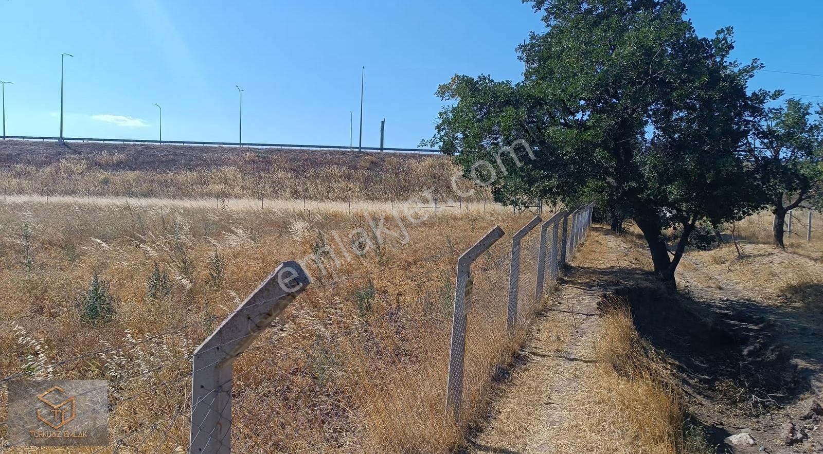 Aliağa Helvacı'da Satılık 2500 M2 Tek Tapu Tarla - Görsel 2
