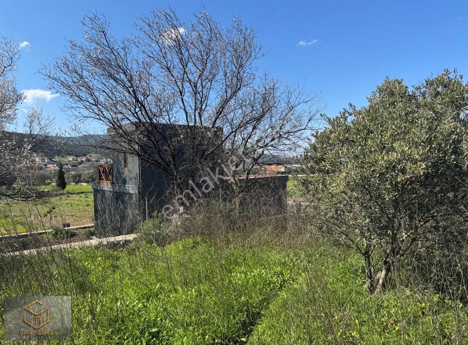 Yenifoça Kozbeyli De Satılık 3750 M² Tek Tapu Tarla - Görsel 10