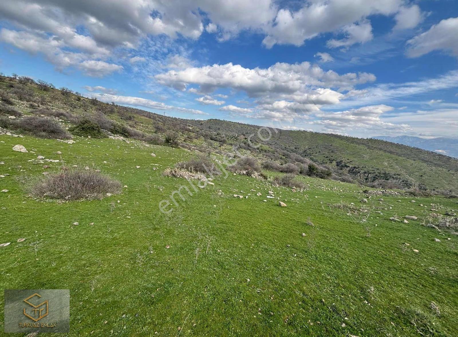 Menemen Görece Köyünde Tek Tapu 9100 M² Satılık Tarla
