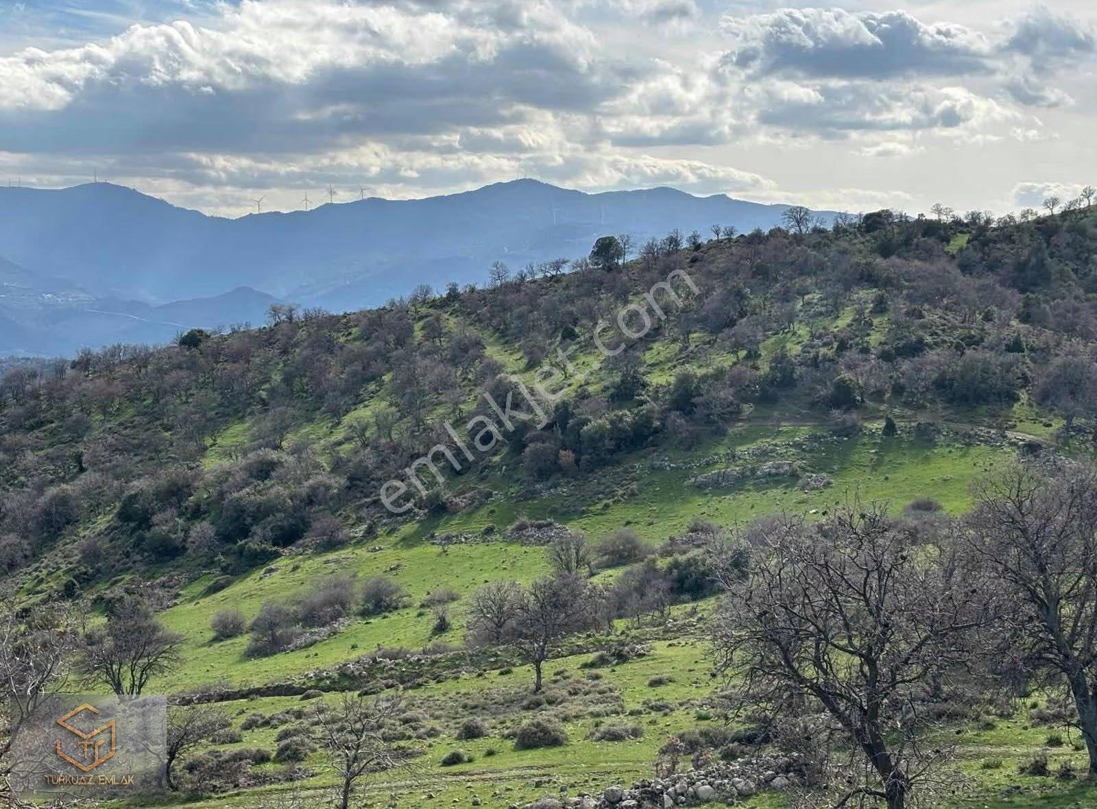 Menemen Görece Köyünde Tek Tapu 9100 M² Satılık Tarla - Görsel 35