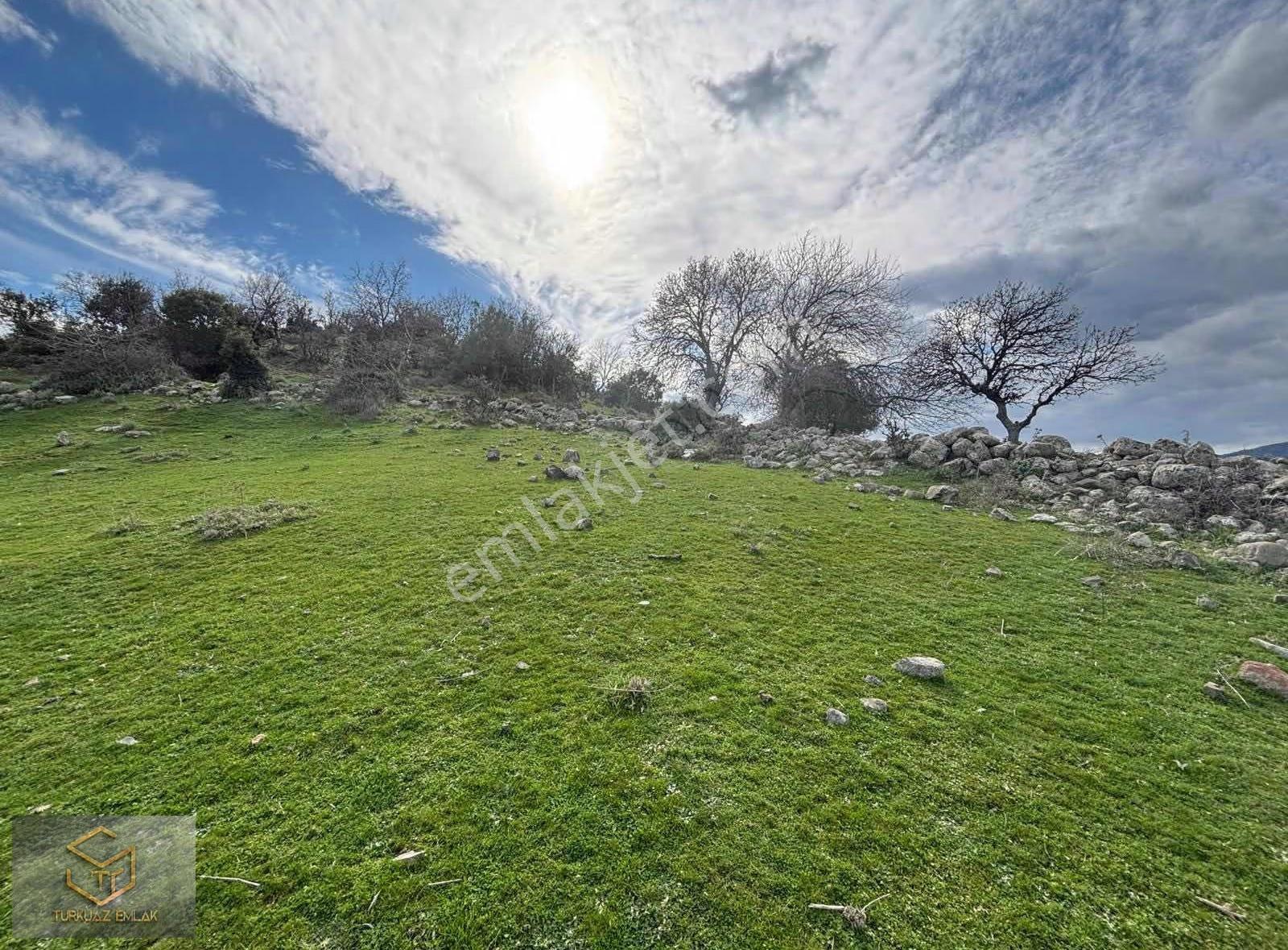 Menemen Görece Köyünde Tek Tapu 9100 M² Satılık Tarla - Görsel 18