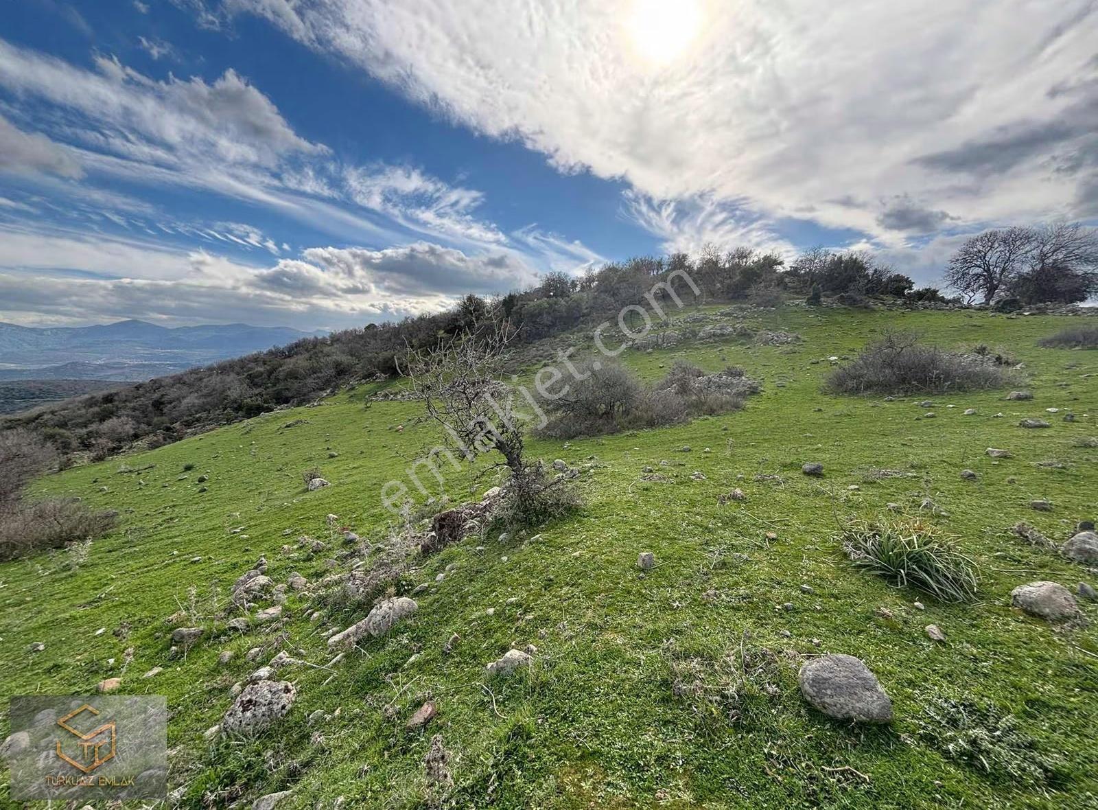 Menemen Görece Köyünde Tek Tapu 9100 M² Satılık Tarla - Görsel 11