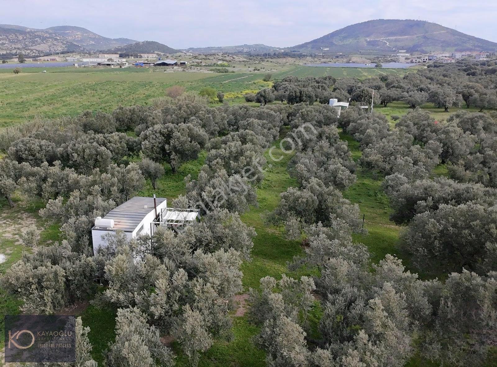 Kayaoğlu'ndan Foça Gerenköy' De Satılık Yatırım Fırsatı - Görsel 9