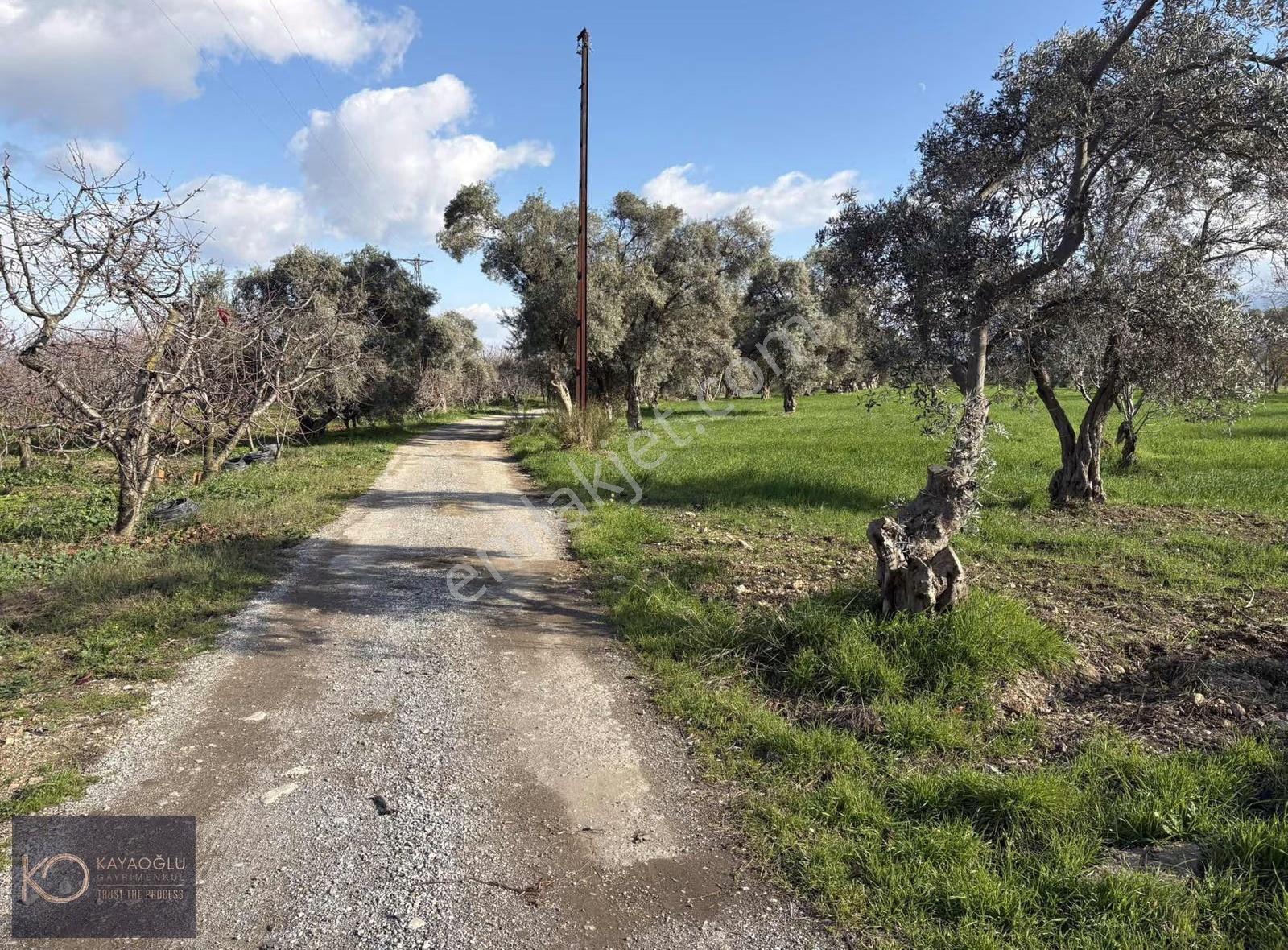 Örnekköy'de Müstakil Yola Cepheli Ev+su Ve Elektriği Olan Tarla - Görsel 14