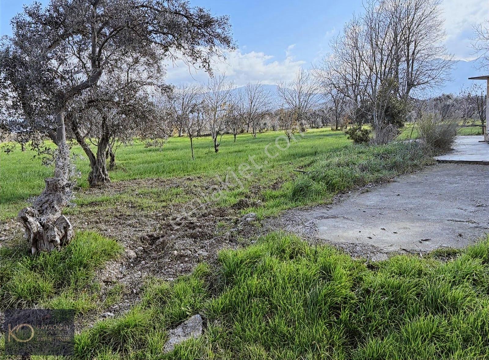 Örnekköy'de Müstakil Yola Cepheli Ev+su Ve Elektriği Olan Tarla - Görsel 12