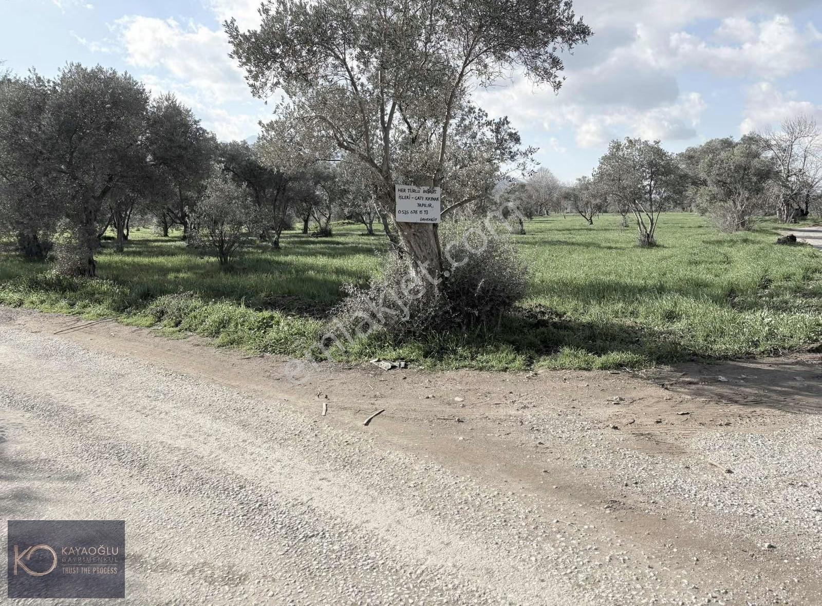 Örnekköy'de Müstakil Yola Cepheli Ev+su Ve Elektriği Olan Tarla - Görsel 6