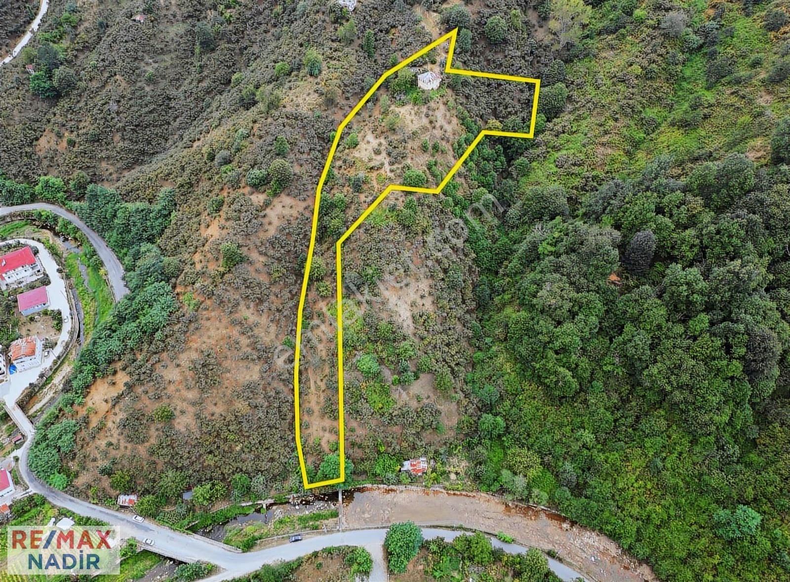 Remax Nadir'den Eriklimanı'nda 7.400 M² Fırsat Fındık Bahçesi - Görsel 7
