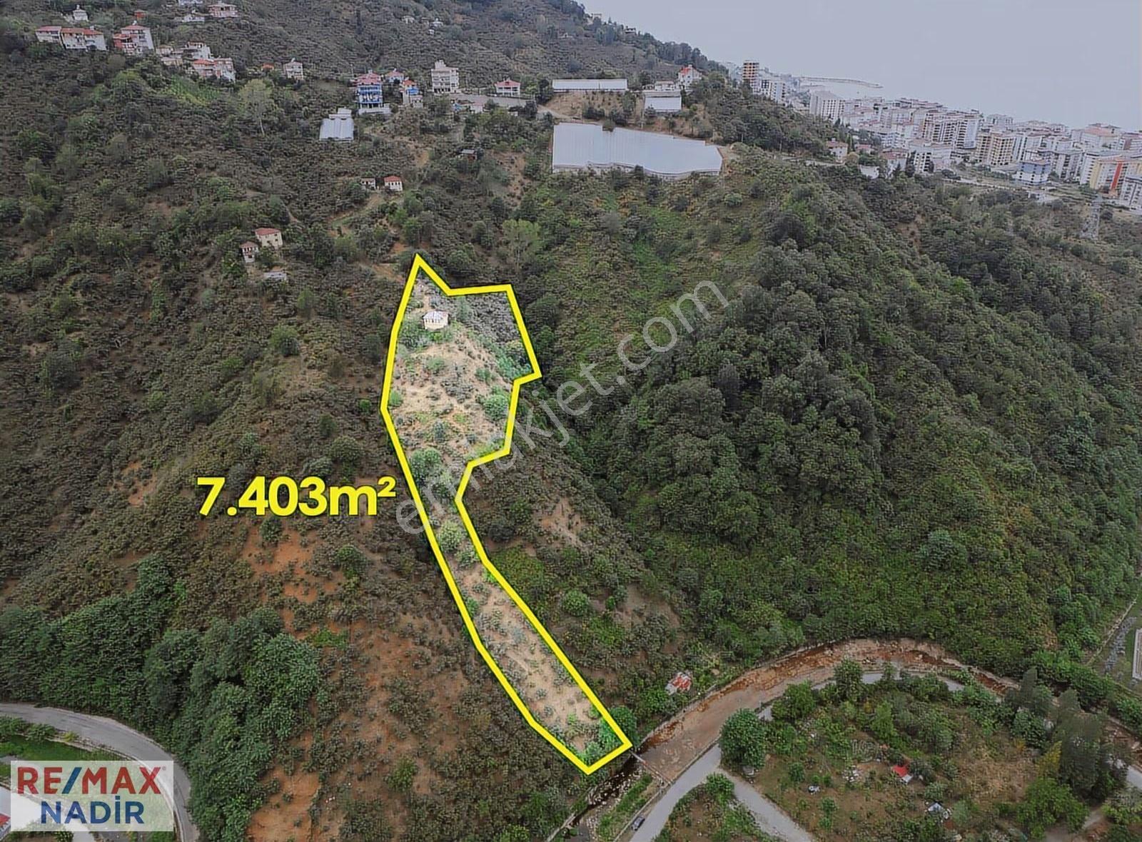 Remax Nadir'den Eriklimanı'nda 7.400 M² Fırsat Fındık Bahçesi - Görsel 5