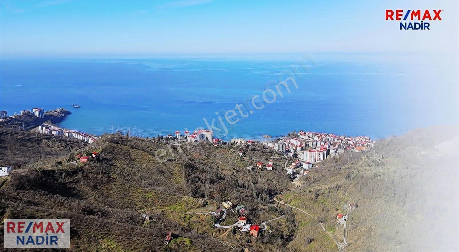 Tirebolu'da Panoramık Denız Manzaralı 47.642 M² Turizm İmarlı - Görsel 9