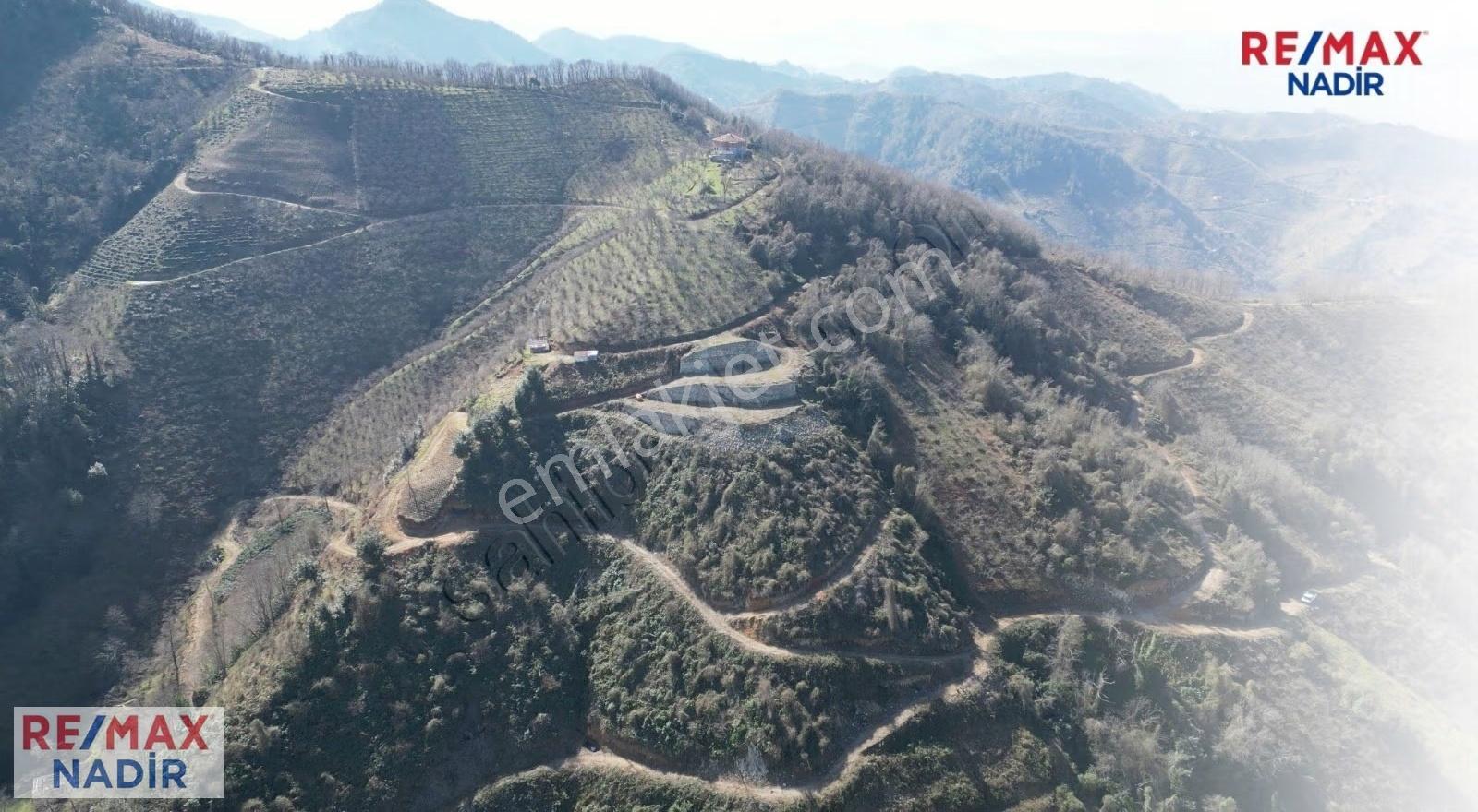 Tirebolu'da Panoramık Denız Manzaralı 47.642 M² Turizm İmarlı - Görsel 2