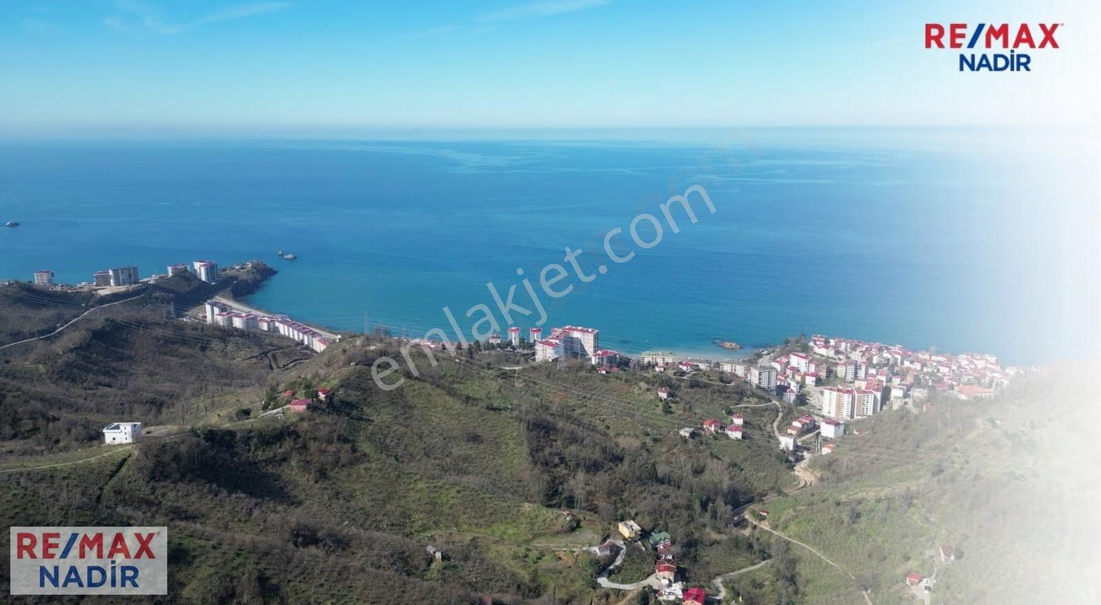 Tirebolu'da Panoramık Denız Manzaralı 47.642 M² Turizm İmarlı - Görsel 7