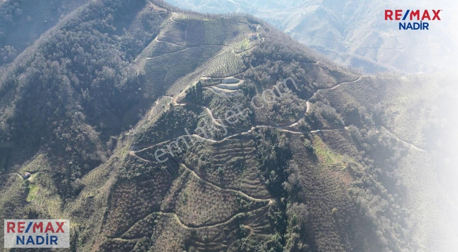 Tirebolu'da Panoramık Denız Manzaralı 47.642 M² Turizm İmarlı - Görsel 5