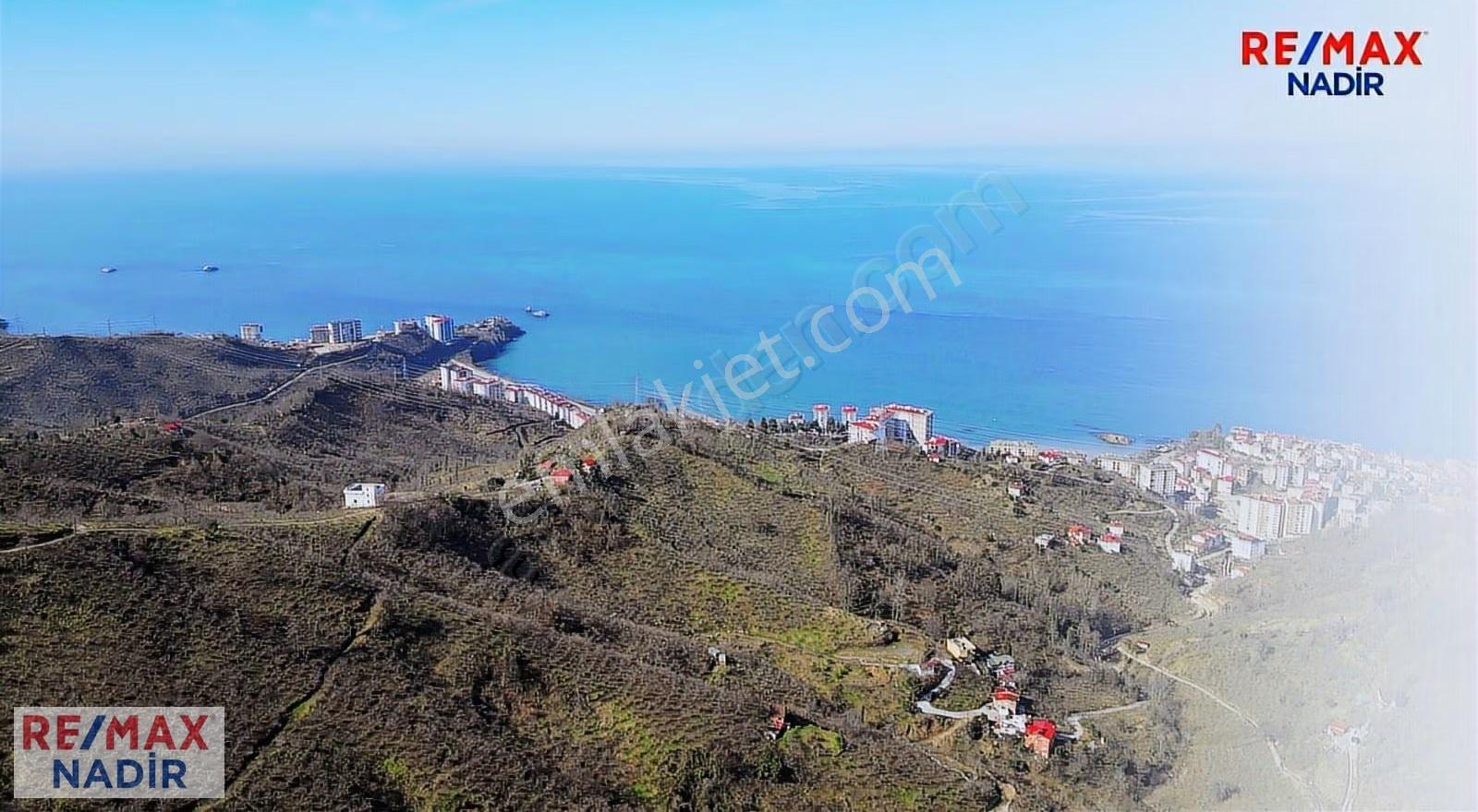 Tirebolu'da Panoramık Denız Manzaralı 47.642 M² Turizm İmarlı - Görsel 12
