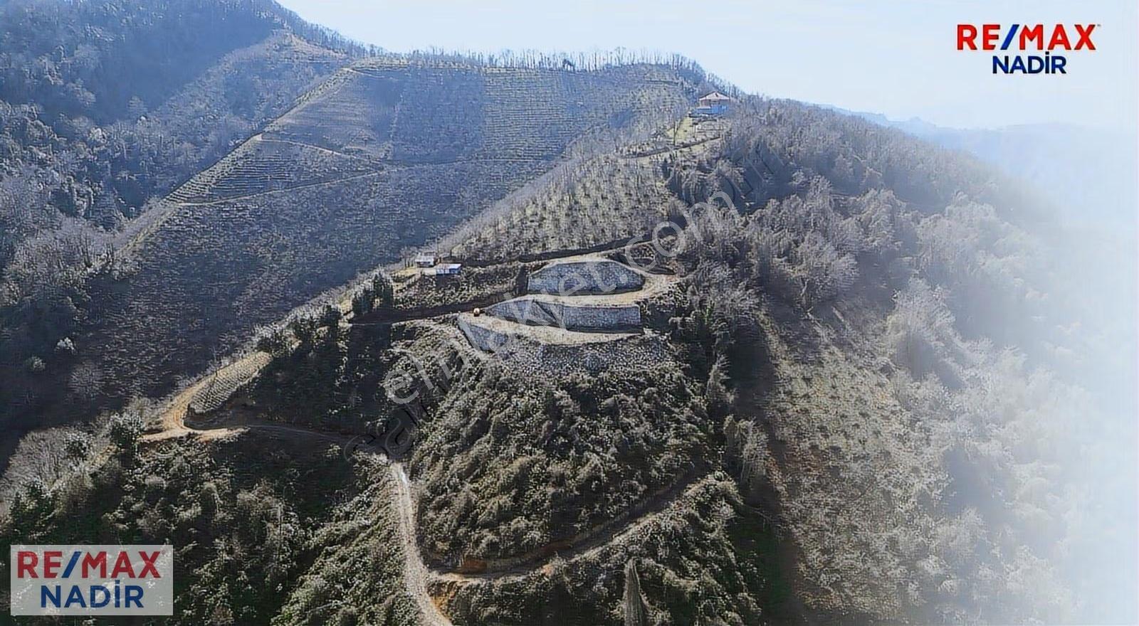 Tirebolu'da Panoramık Denız Manzaralı 47.642 M² Turizm İmarlı - Görsel 11
