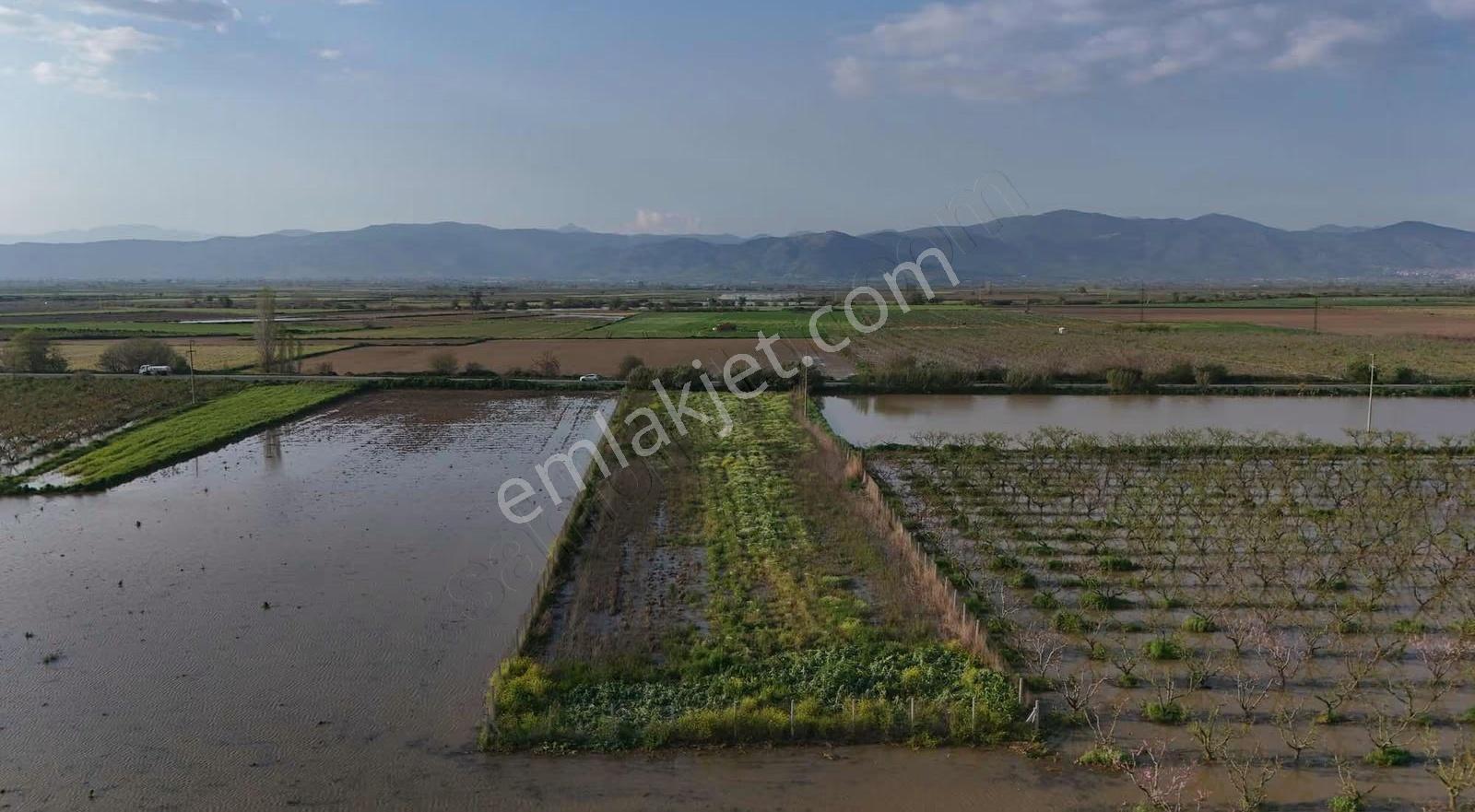 Pek Emlaktan İzmir Tire Otoyolu Çepheli Satılık 5400 M2 Tarla - Görsel 4