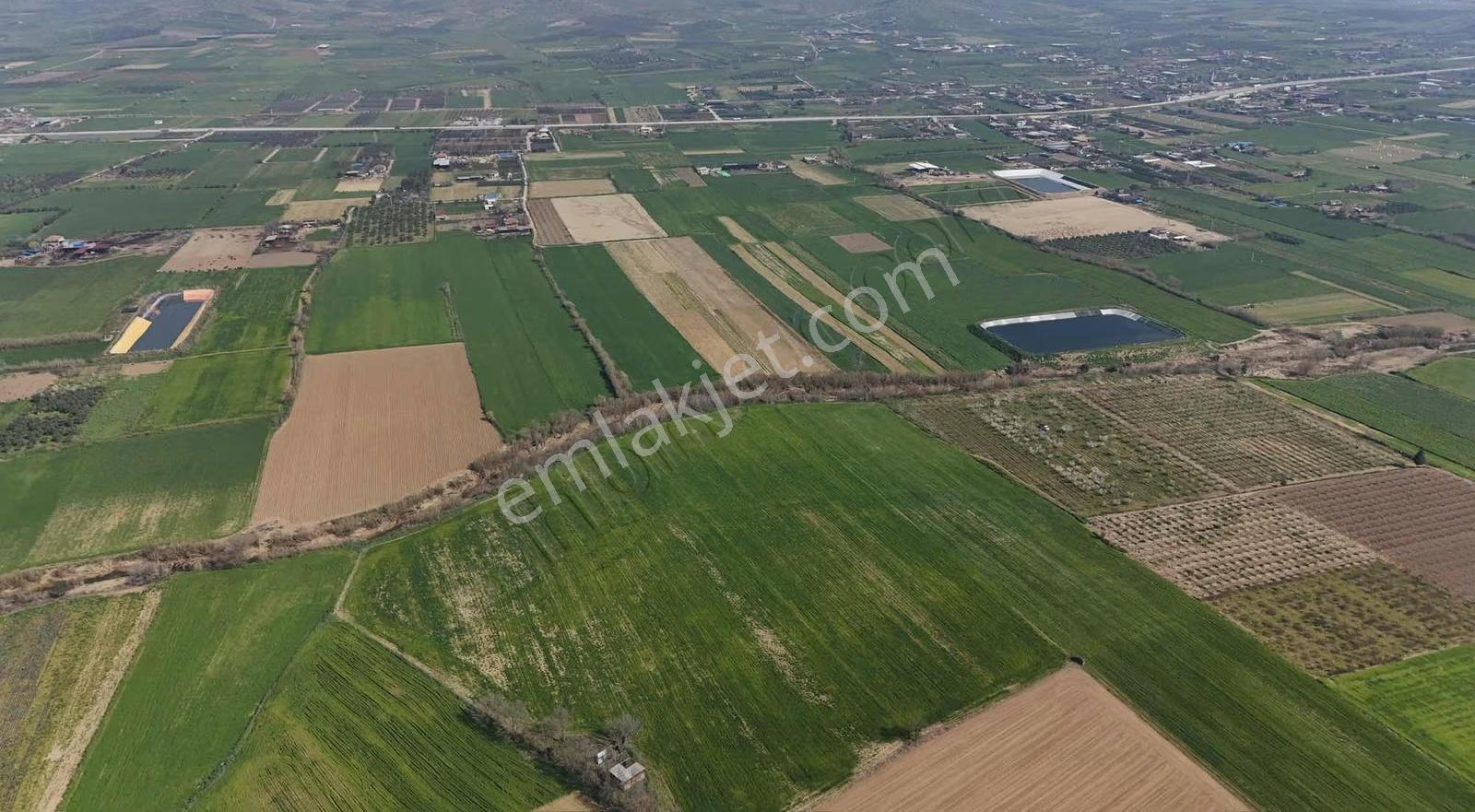 Pek Emlaktan 48.850 M2 Satılık Çiftlik Arazisi - Görsel 10