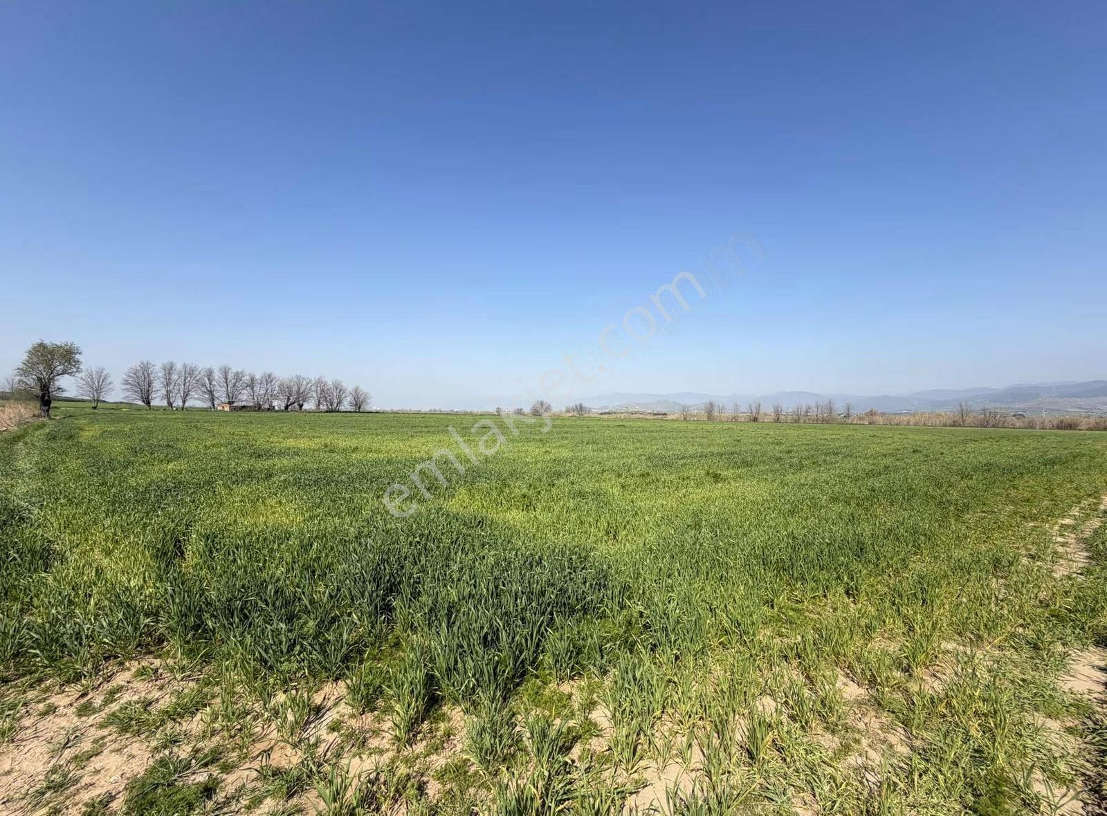 Pek Emlaktan 48.850 M2 Satılık Çiftlik Arazisi - Görsel 5