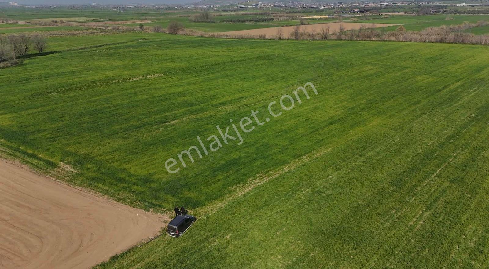 Pek Emlaktan 48.850 M2 Satılık Çiftlik Arazisi - Görsel 7