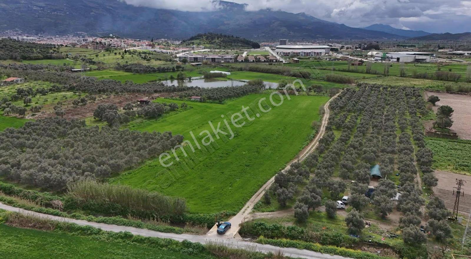 Pek Emlaktan Tirenin Dibinde 15560 M2 Satılık Tarla - Görsel 12