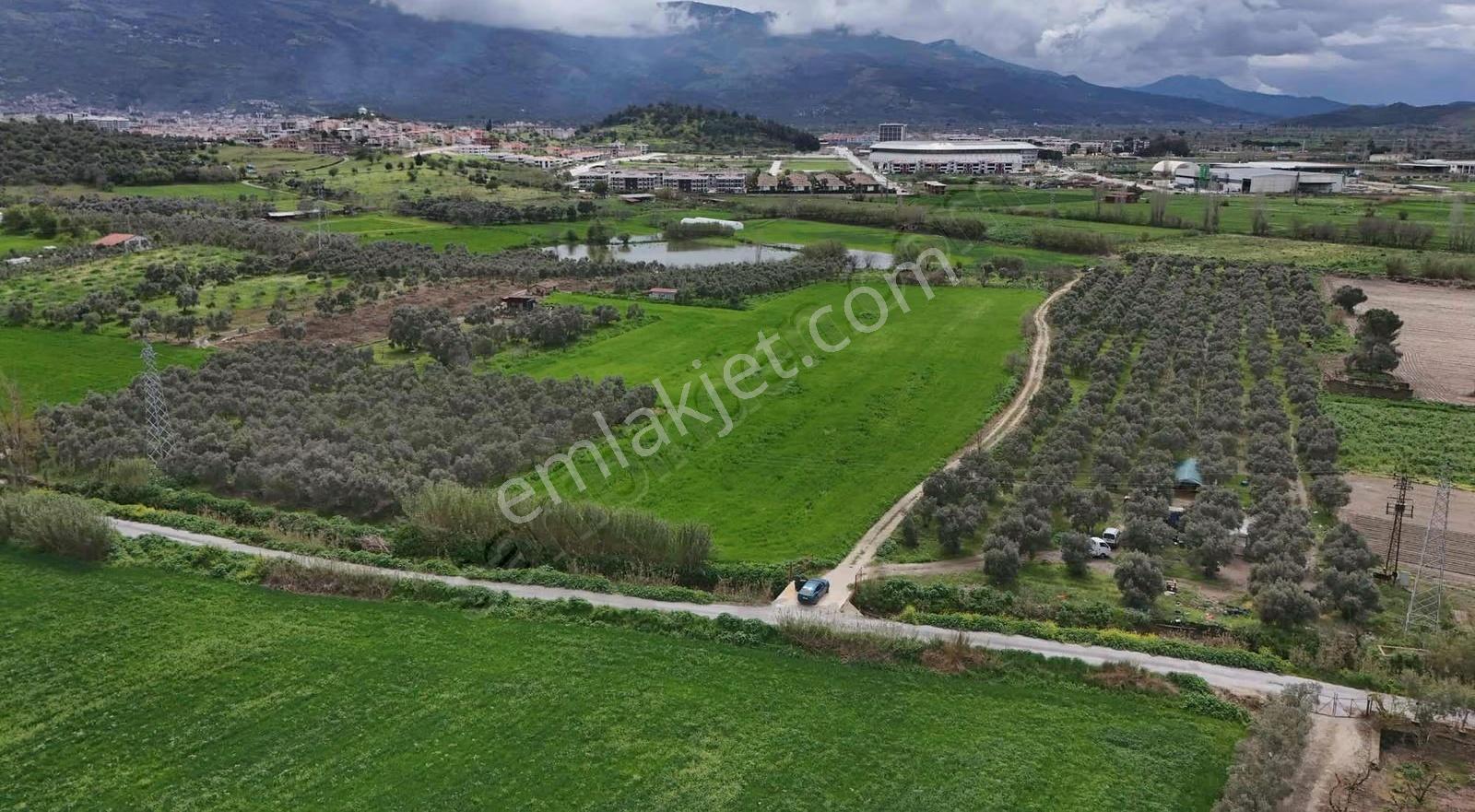 Pek Emlaktan Tirenin Dibinde 15560 M2 Satılık Tarla - Görsel 14