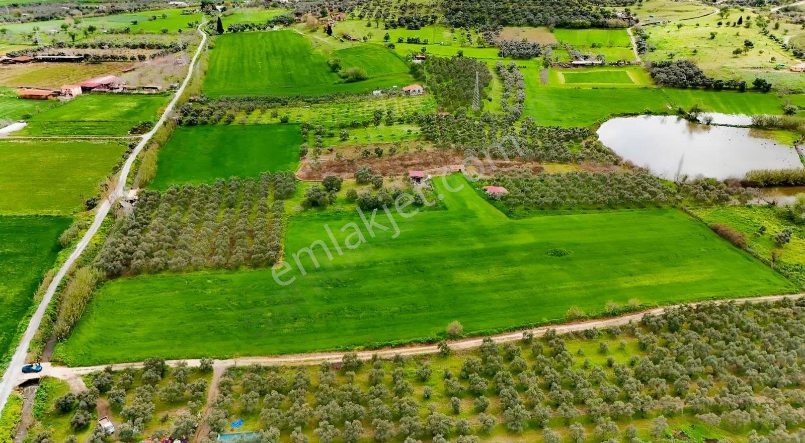 Pek Emlaktan Tirenin Dibinde 15560 M2 Satılık Tarla - Görsel 7