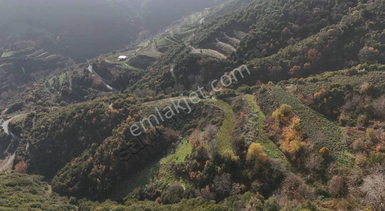 Pek Emlaktan Osmancık Ta Kupon 3730 M2 Bahçe - Görsel 15