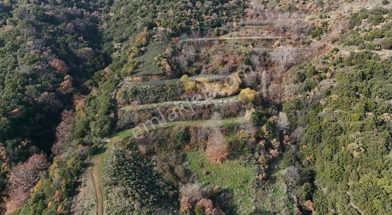 Pek Emlaktan Osmancık Ta Kupon 3730 M2 Bahçe - Görsel 23