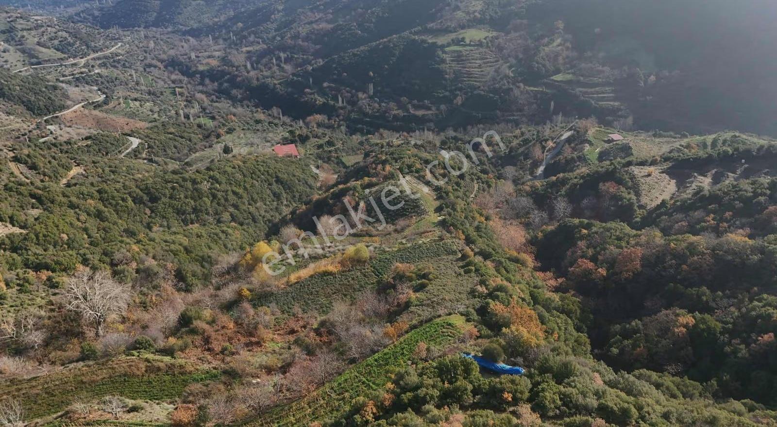 Pek Emlaktan Osmancık Ta Kupon 3730 M2 Bahçe - Görsel 11