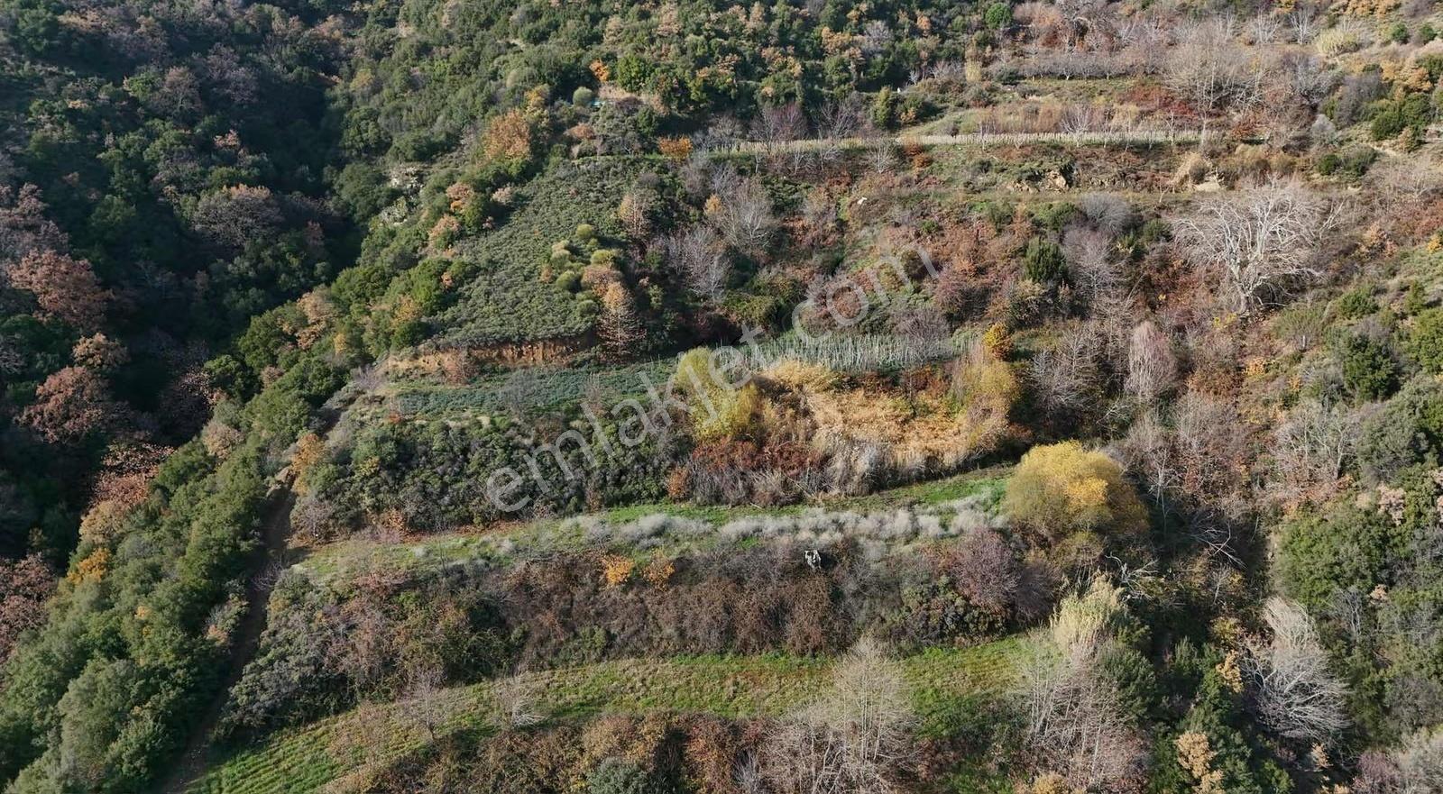 Pek Emlaktan Osmancık Ta Kupon 3730 M2 Bahçe - Görsel 21