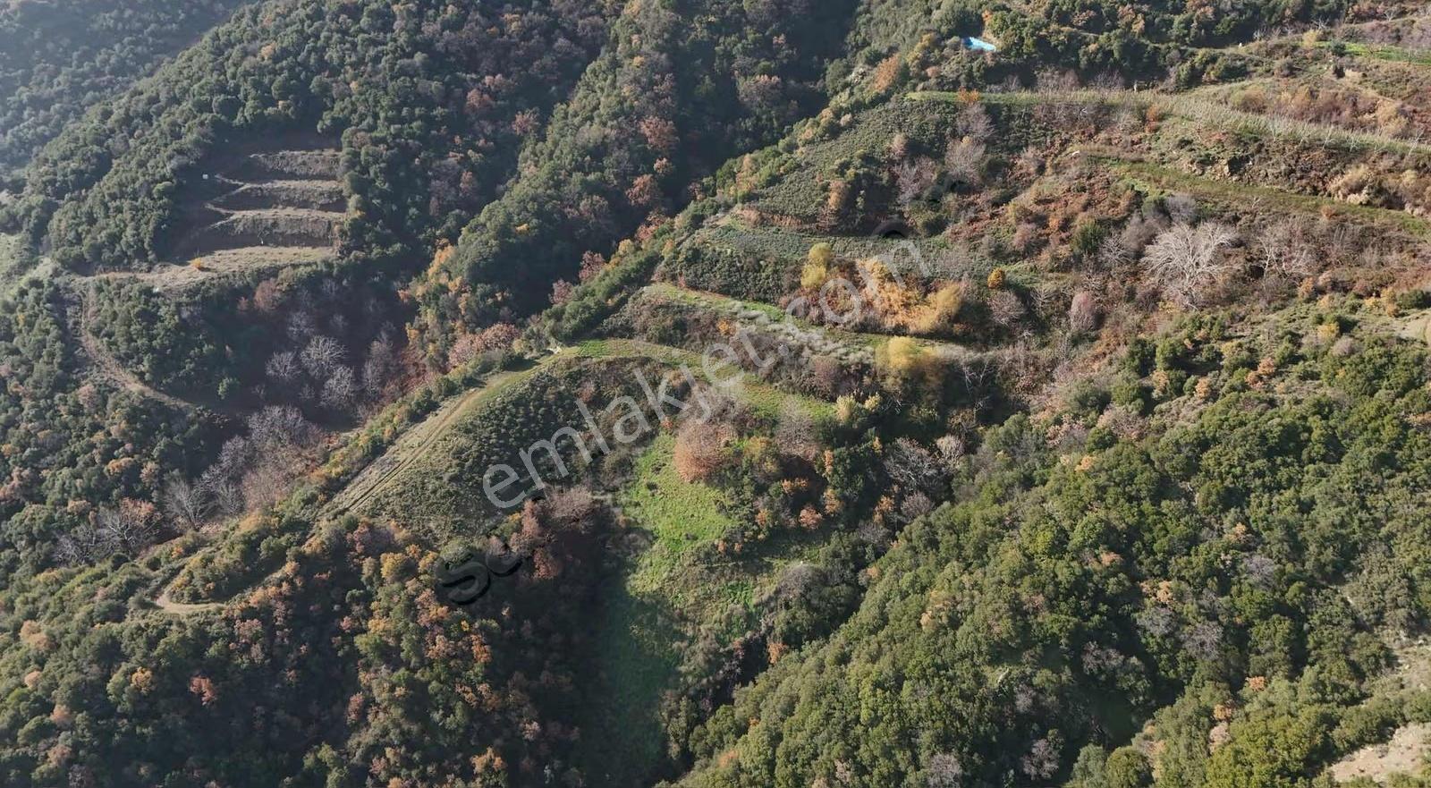 Pek Emlaktan Osmancık Ta Kupon 3730 M2 Bahçe - Görsel 17