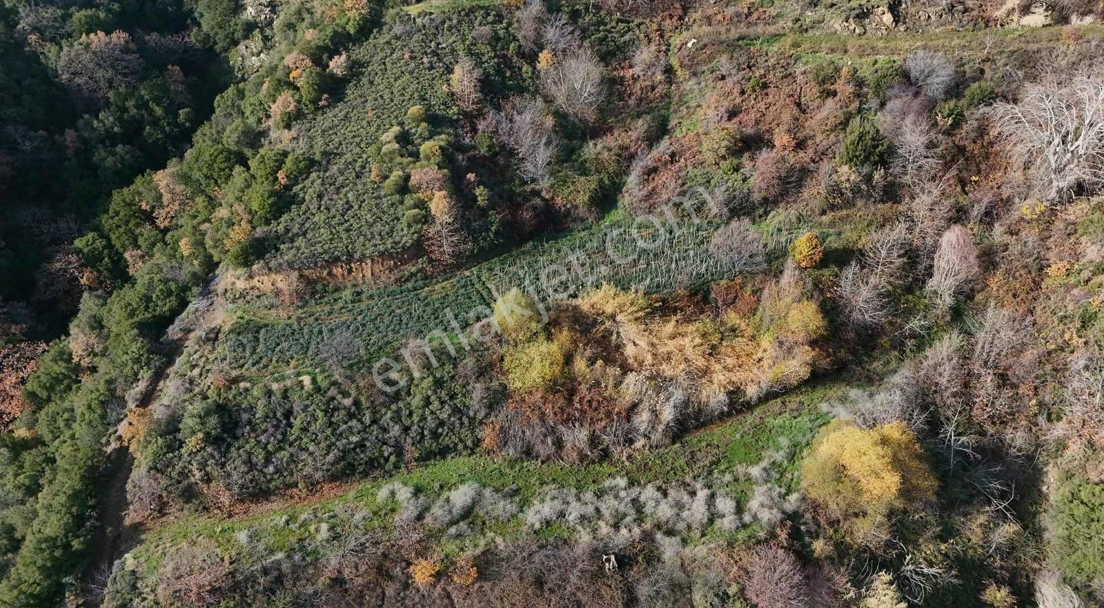Pek Emlaktan Osmancık Ta Kupon 3730 M2 Bahçe - Görsel 22